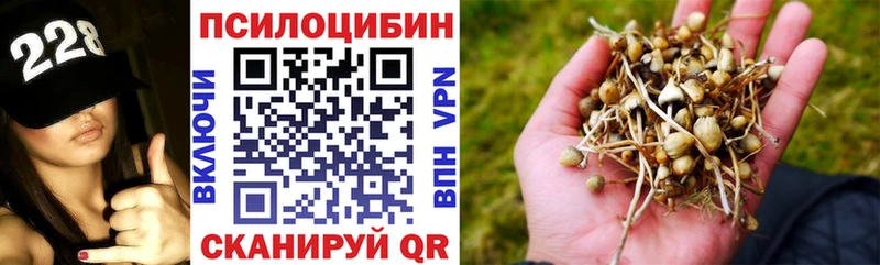 продажа наркотиков  Полевской  Галлюциногенные грибы MAGIC MUSHROOMS 